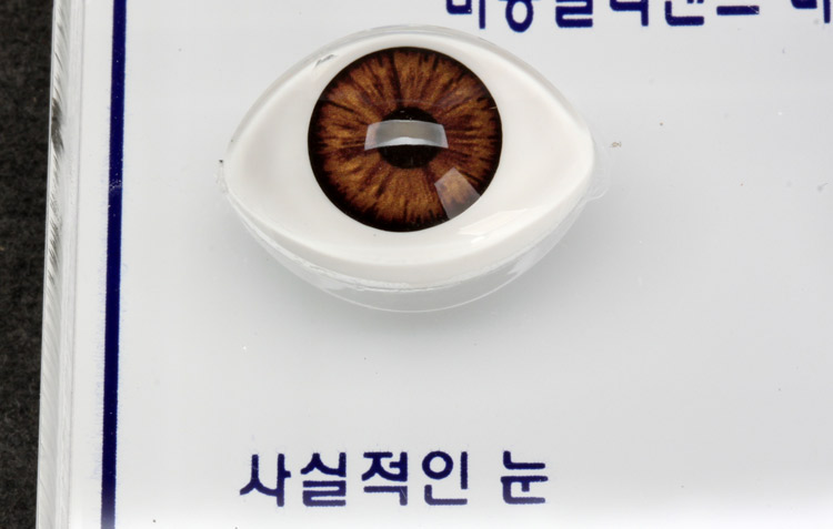 칼라렌즈비교테스트 (2구)