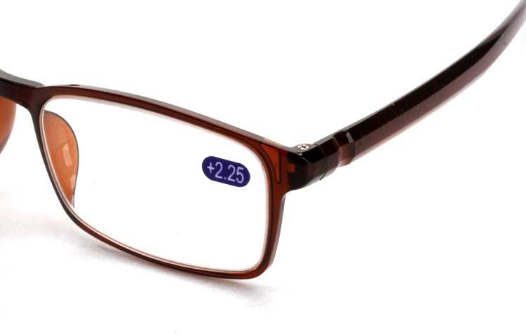 TR216 돋보기 (브라운)(53)